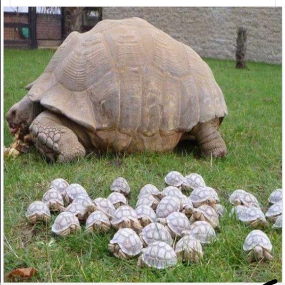 HAPPY MOTHER!😁 - Picture 1 of 1